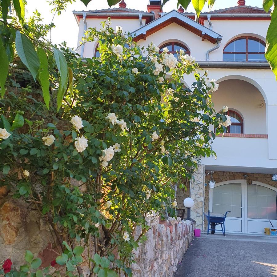 Knez Apartmani Senje エクステリア 写真