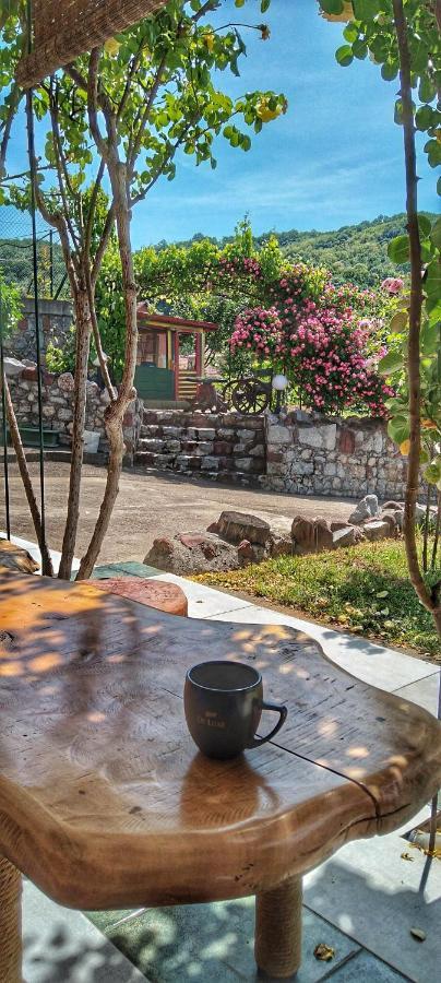 Knez Apartmani Senje エクステリア 写真