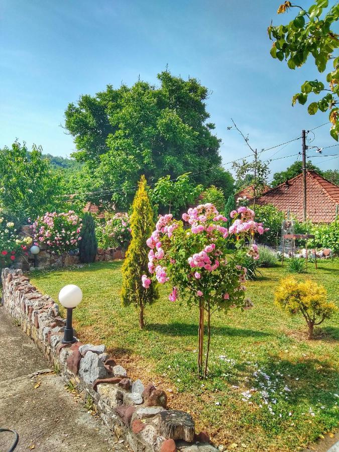 Knez Apartmani Senje エクステリア 写真