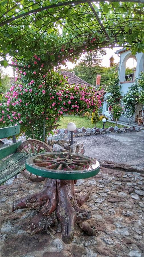 Knez Apartmani Senje エクステリア 写真