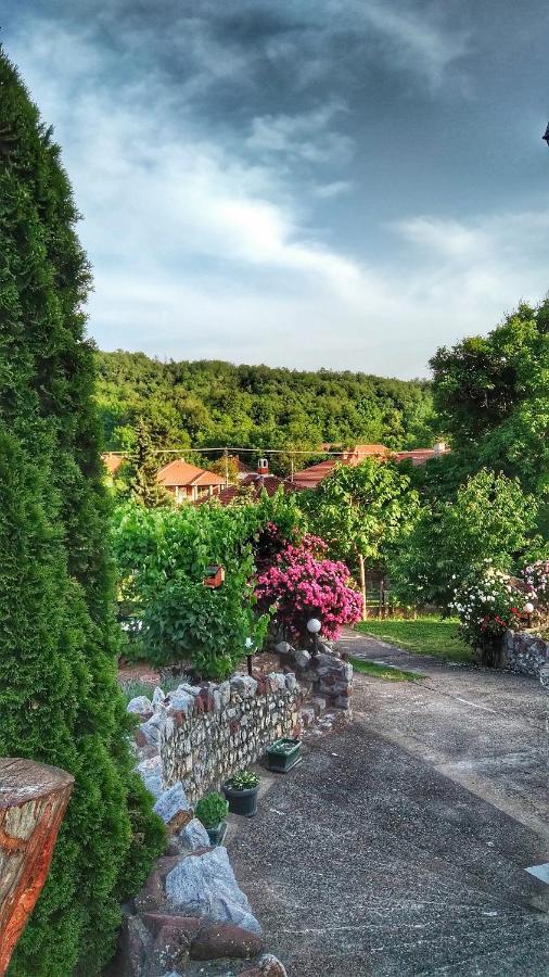 Knez Apartmani Senje エクステリア 写真