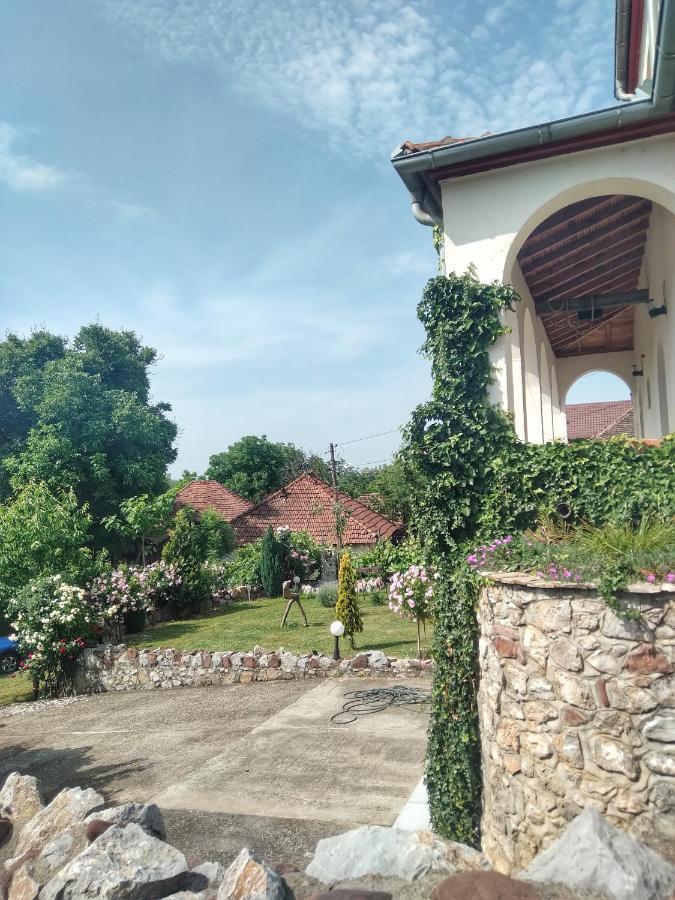 Knez Apartmani Senje エクステリア 写真